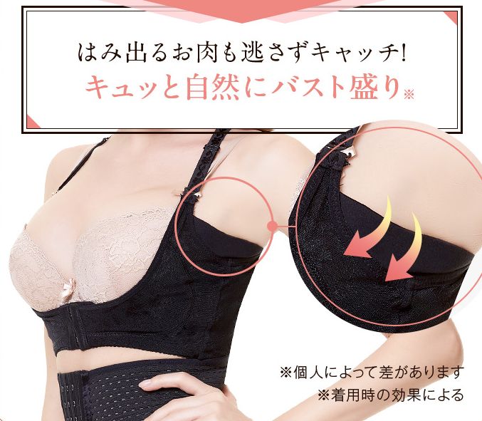 プリンセスアーチの脇高機能